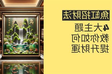 魚缸 招財法